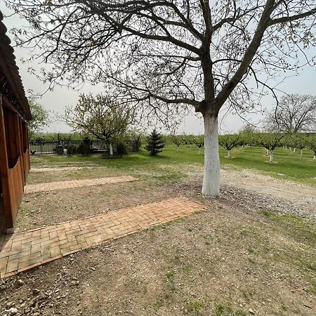Salas Isailovi Sremska Mitrovica Zewnętrze zdjęcie