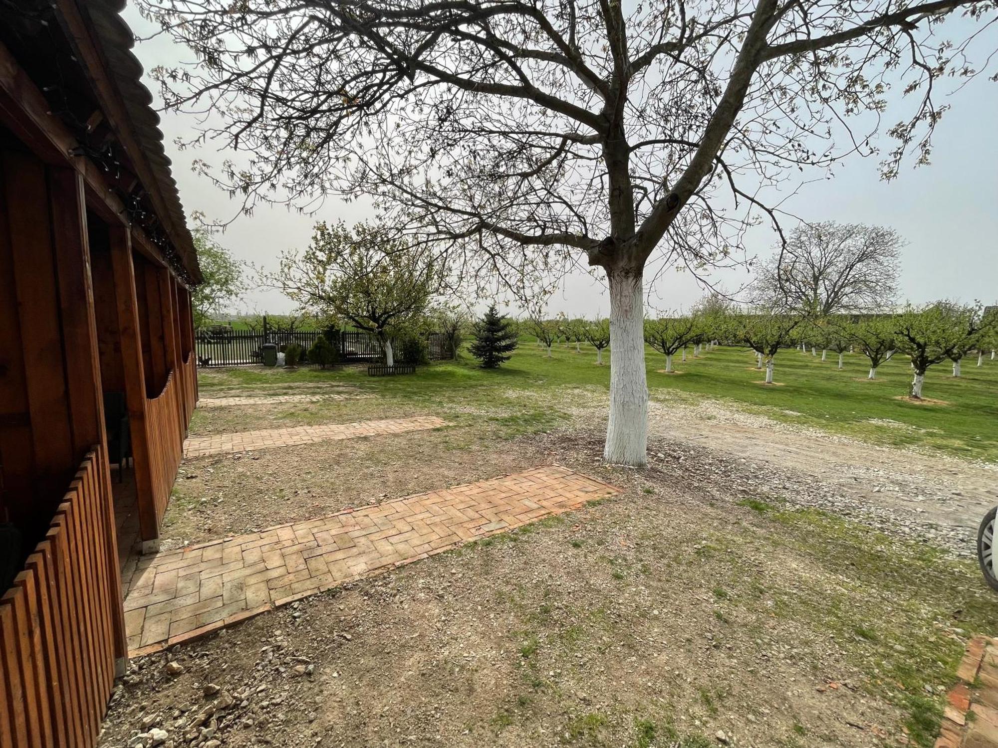 Salas Isailovi Sremska Mitrovica Zewnętrze zdjęcie